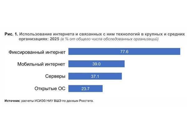 Использование цифровых технологий организациями в 2025 году 